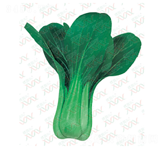 �ľ�-��˷N��-΢�ȷN�I(y��)