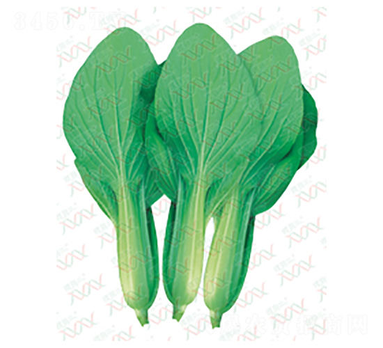 һ�N�ľ�-��˷N��-΢�ȷN�I(y��)