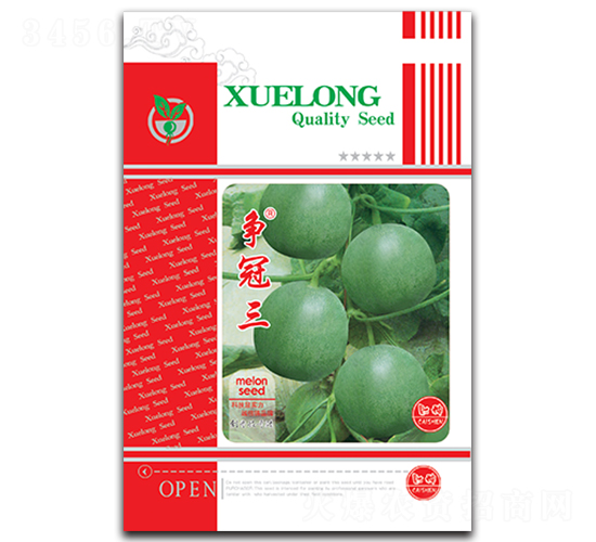 ������-��ϷN��-���ѩ��