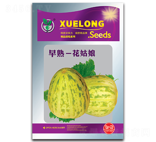 ���죭������-��ϷN��-���ѩ��