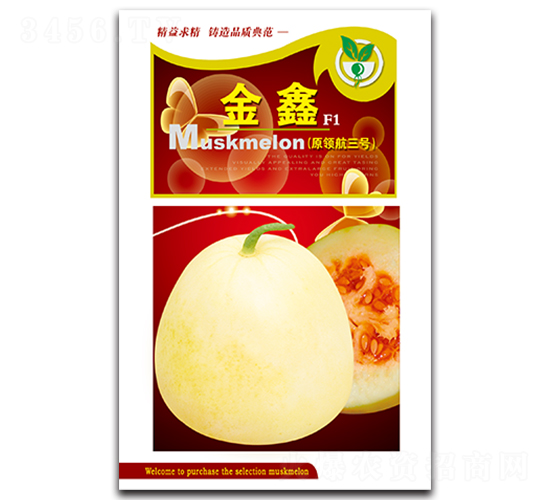 ����-��ϷN��-���ѩ��