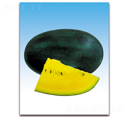 ���Љ�-���ϷN��-����N��