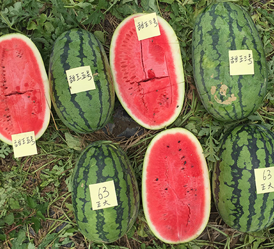 ̩��һ̖-���ϷN��-����N��