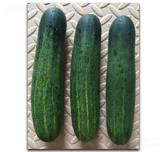 �����G-�S�ϷN��-����N��