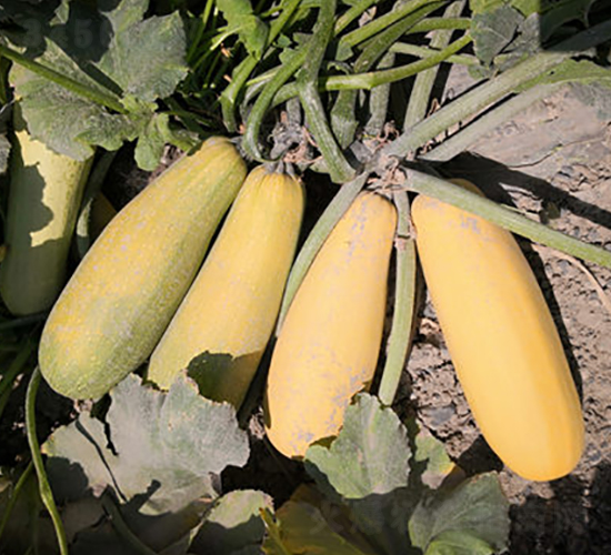 ����һ̖(h��o)-�����J�N��-����r(n��ng)�I(y��)