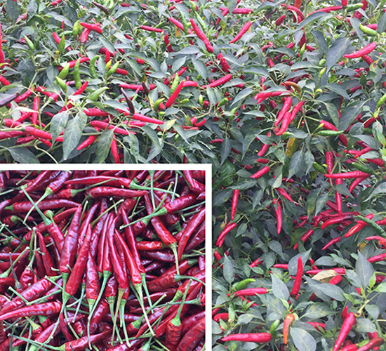 �M����-�����N��-����N��