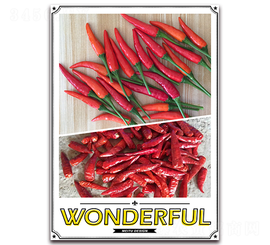 ʢ��88-�����N��-����N��