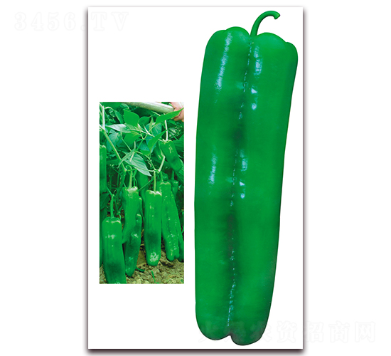 ����999-�����N��-����N��