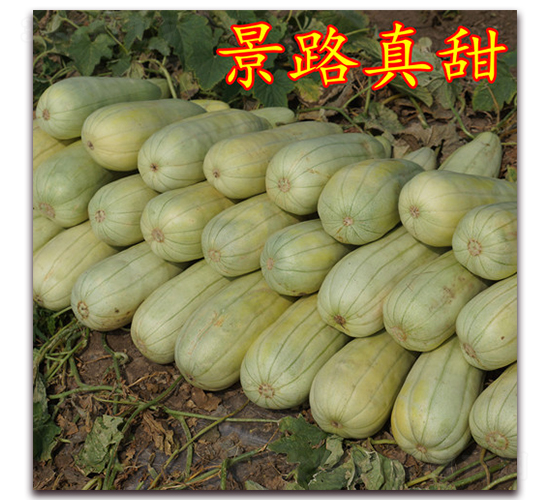 ��·����-��Ƥ��ϷN��-��·�N�I(y��)