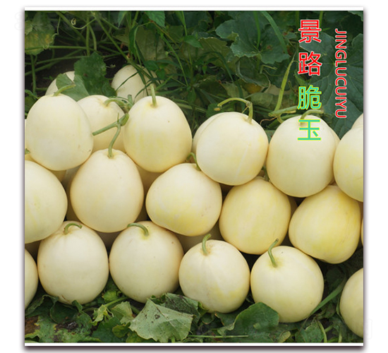 ��·����-��Ƥ��ϷN��-��·�N�I(y��)