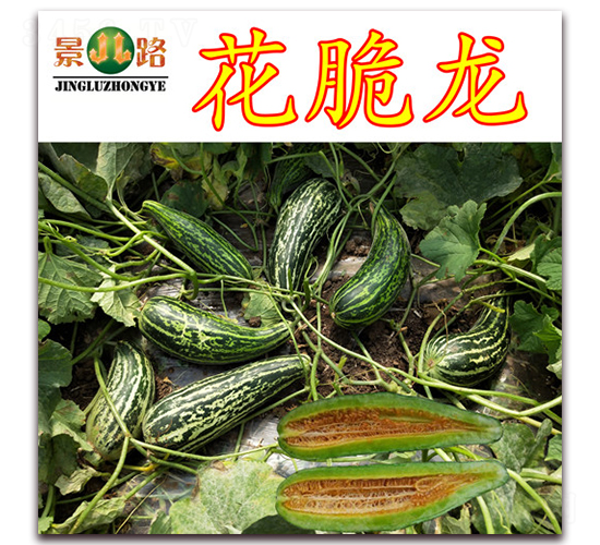 ��·������-��Ƥ��ϷN��-��·�N�I(y��)