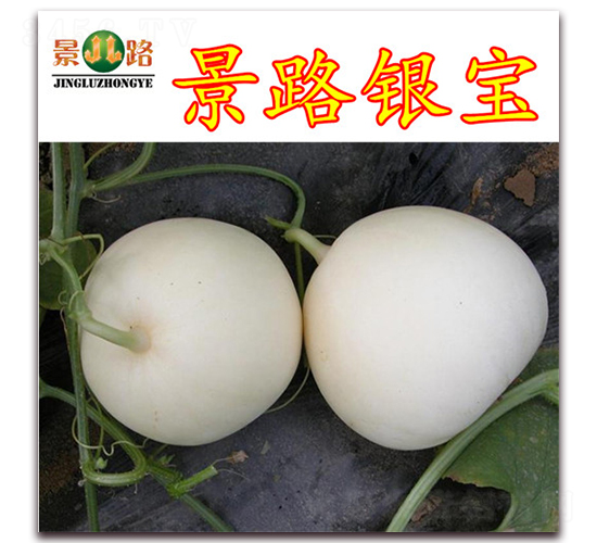 ��·����-��Ƥ��ϷN��-��·�N�I(y��)