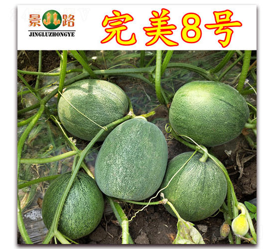 ��·����8̖-��Ƥ��ϷN��-��·�N�I(y��)