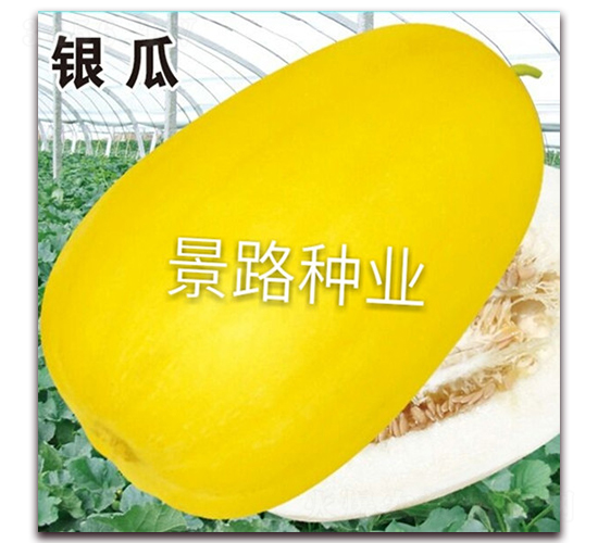 ��·�y��-��Ƥ��ϷN��-��·�N�I(y��)