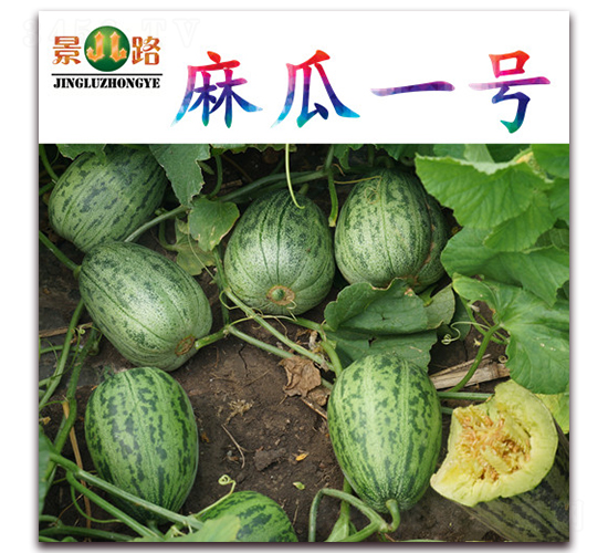 ���һ̖(h��o)-��Ƥ��ϷN��-��·�N�I(y��)