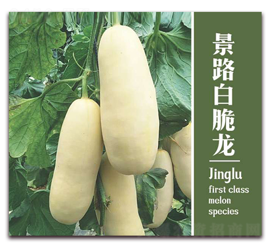 ��·�״���-��Ƥ��ϷN��-��·�N�I(y��)