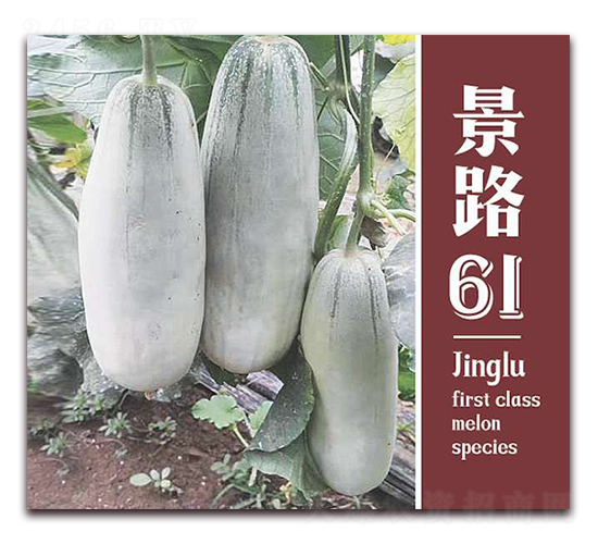 ��·61-��Ƥ��ϷN��-��·�N�I(y��)