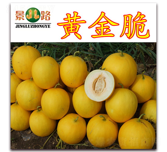 �S���-��Ƥ��ϷN��-��·�N�I(y��)