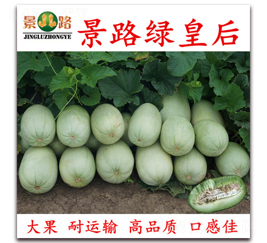 ��·�G�ʺ�-��Ƥ��ϷN��-��·�N�I(y��)