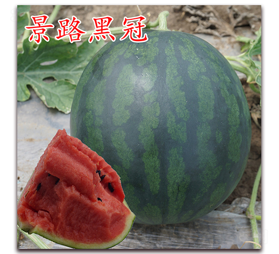 ��·�ڹ�-���ϷN��-��·�N�I(y��)