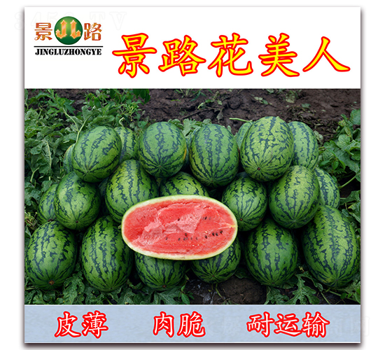 ��·������-���ϷN��-��·�N�I(y��)