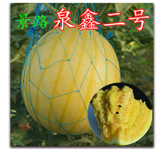 ��·Ȫ�ζ�̖(h��o)-���ϷN��-��·�N�I(y��)