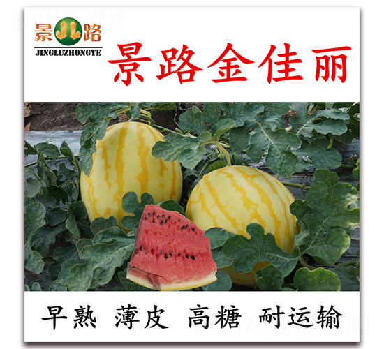 ��·�����-���ϷN��-��·�N�I(y��)