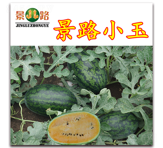 ��·С��-���ϷN��-��·�N�I(y��)