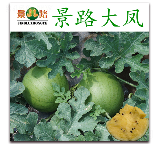 ��·���P-���ϷN��-��·�N�I(y��)