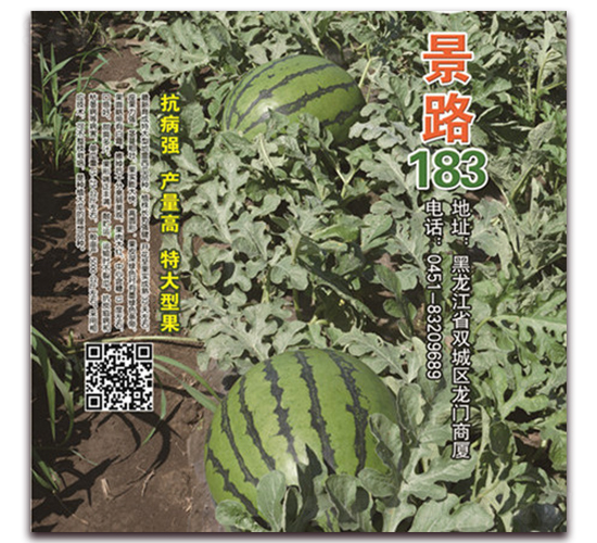 ��·183-�����ϷN��-��·�N�I(y��)