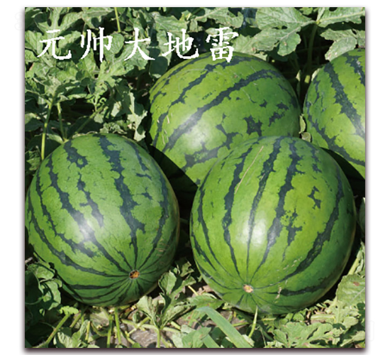 Ԫ�������-�����ϷN��-��·�N�I(y��)