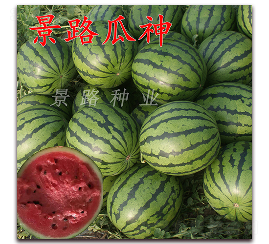 ��·����-�����ϷN��-��·�N�I(y��)