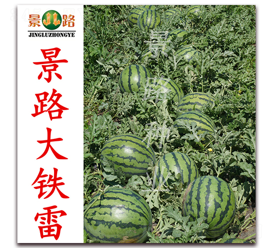 ��·���F��-�����ϷN��-��·�N�I(y��)