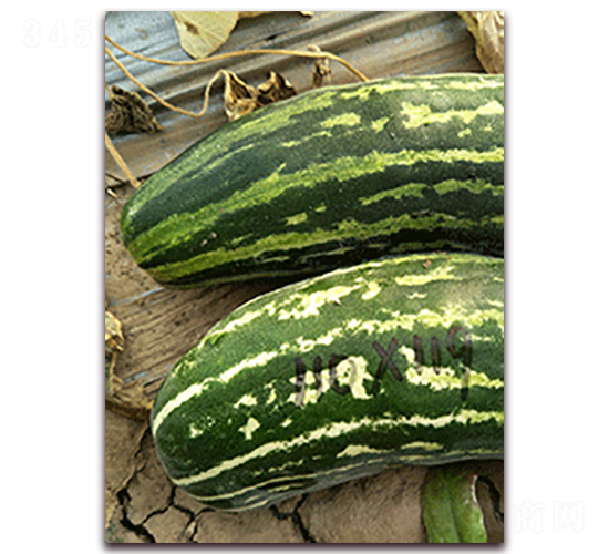 ����Y35-��Ƥ��ϷN��-�����N��