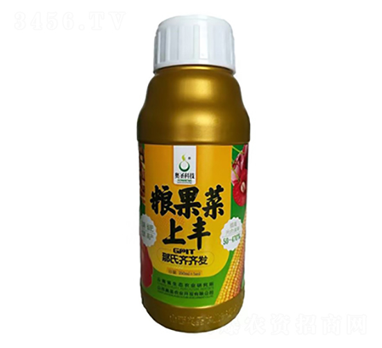 GPlT�����R�R�l(f��)�T��(d��o)��-�Z�������S-�Wʥ�r(n��ng)�I(y��)