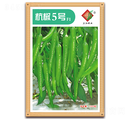 ����5̖(h��o)F1-�����N��-�����N�I(y��)