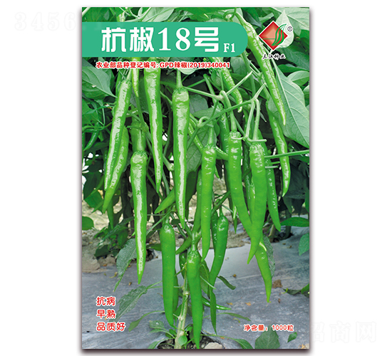 ����18̖(h��o)F1-�����N��-�����N�I(y��)