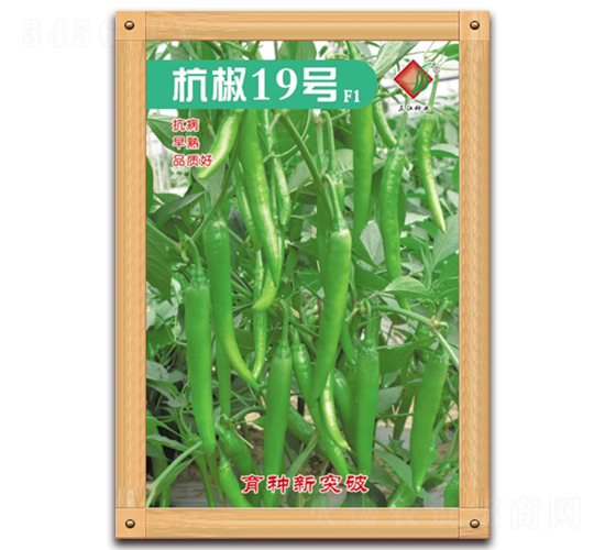 ����19̖(h��o)F1-�����N��-�����N�I(y��)