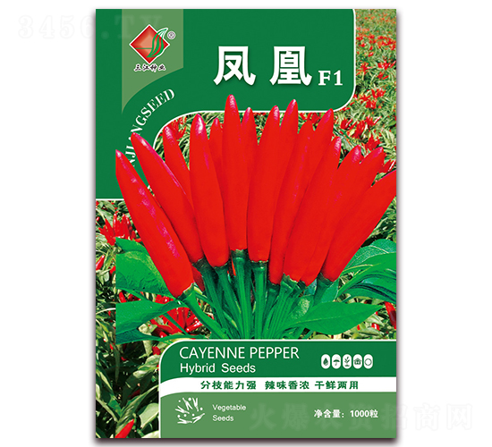 �P��F1-�����N��-�����N�I(y��)