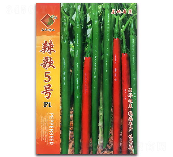 ����5̖(h��o)F1-�����N��-�����N�I(y��)