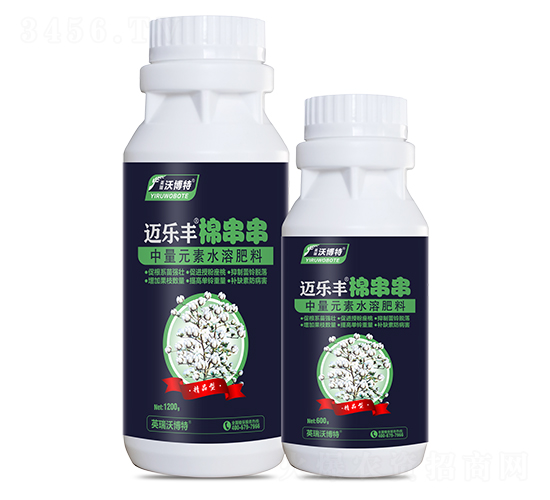 �޴���-�~���S-Ӣ���ֲ���