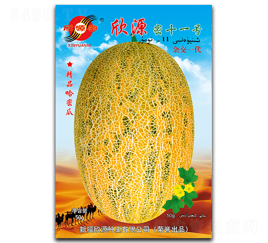 ��Դ��ʮһ̖(h��o)-��ϷN��-��Դ�N�I(y��)