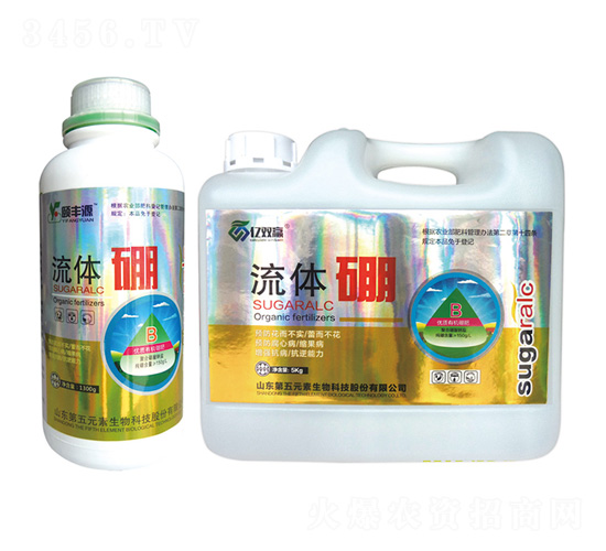 ���w��-�|�p�A-����Ԫ��