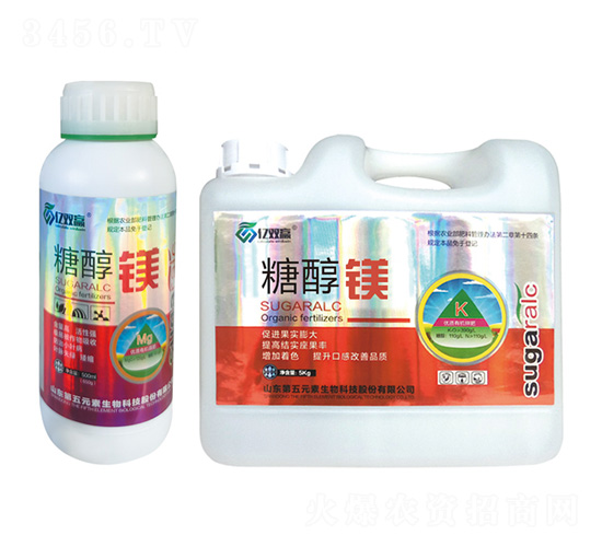 �Ǵ��V-�|�p�A-����Ԫ��