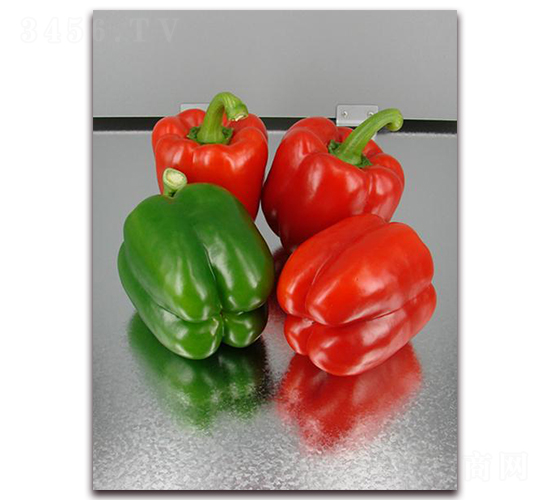 �_��516-�����N��-�����