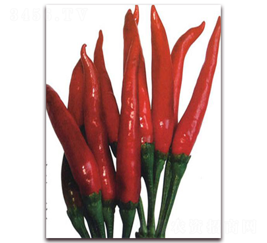 ����-�����N��-�����