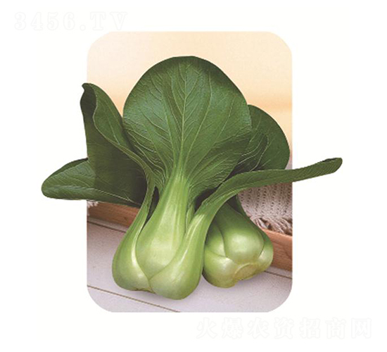 �\�A-��˷N��-�����