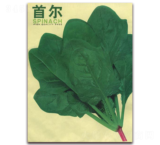 �נ�-���˷N��-�����