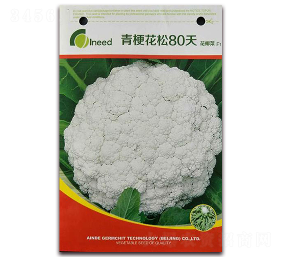 �������80�컨Ҭ��F1-��Ҭ�˷N��-�����