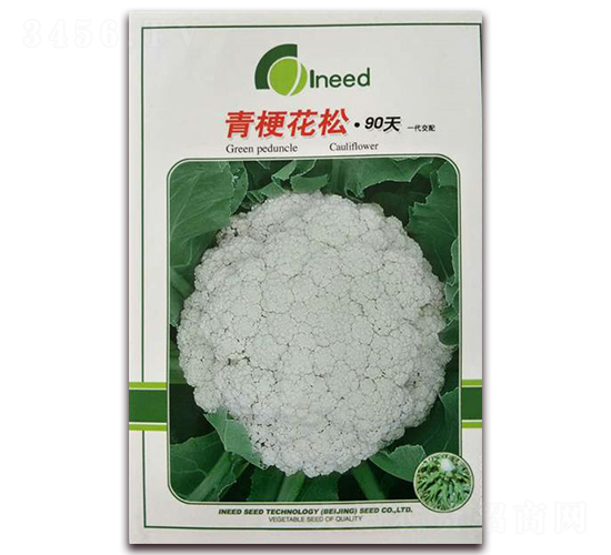 �������90��-�ɻ��˷N��-�����